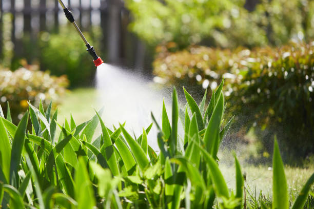 24/7 Emergency Wasp Removal experts in Bluewell, WV
